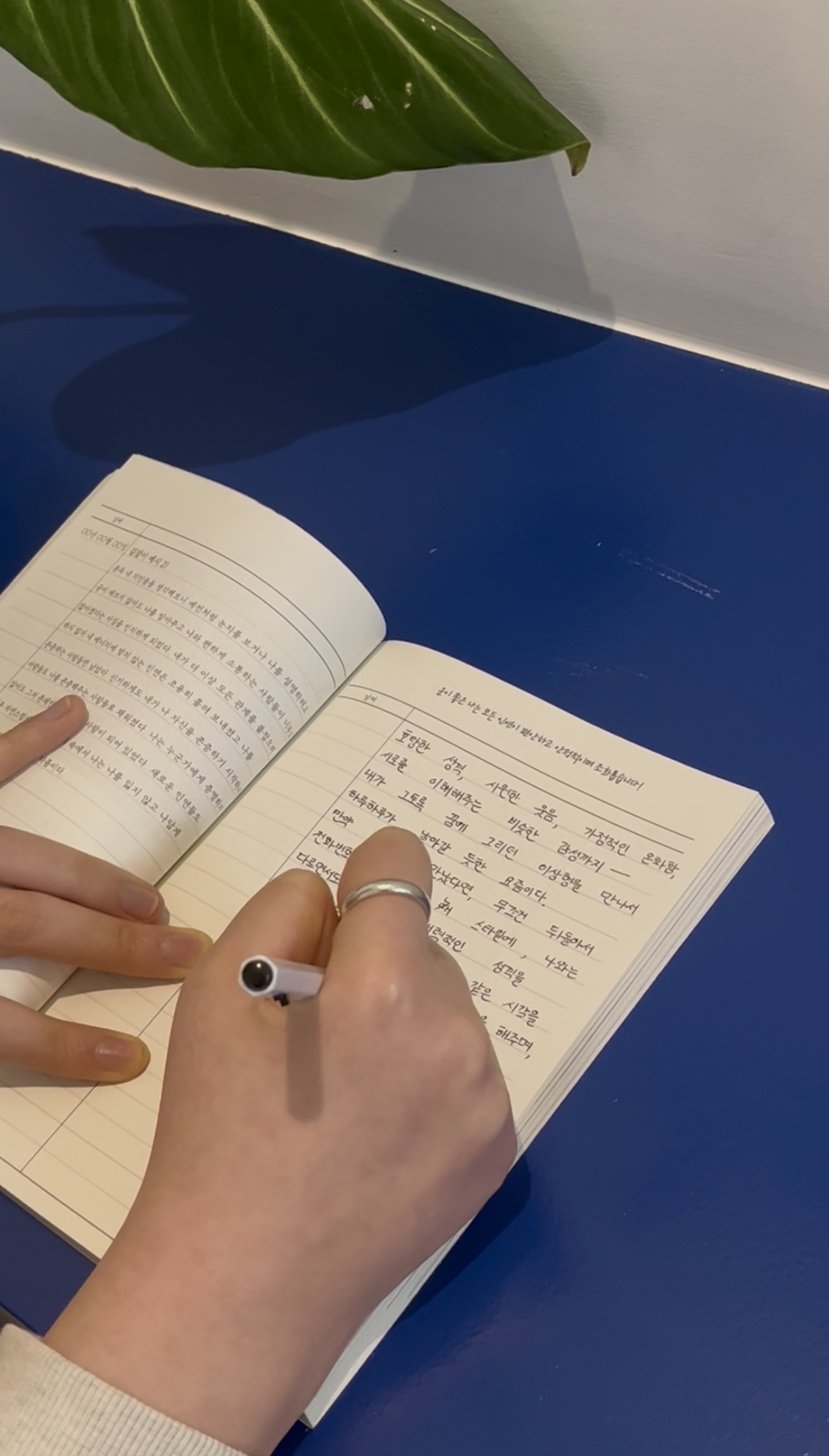 직접 작성하는 페이지